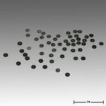 Pulsatora Constant dīzes D0,50