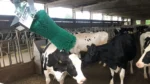 Automātiskā liellopu masāžas birste Agricow Pendulum - Image 7