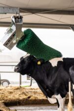 Automātiskā liellopu masāžas birste Agricow Pendulum - Image 6