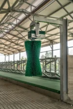 Automātiskā liellopu masāžas birste Agricow Pendulum - Image 4