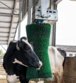 Automātiskā liellopu masāžas birste Agricow Pendulum - Image 3