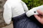 Mētelis suņiem Teddy - Image 4