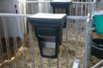 Spēkbarības kaste – 12 L - Image 5