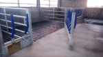 Easyfix Evolve Feed Rail — barības galda nožogojums govīm - Image 7
