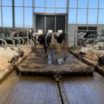 Skrēperis Combiscraper Advance - Image 2