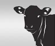 CalfPlan licence