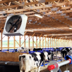 BF 50 Recirkulācijas ventilators 1.5Hp (3x400 V, ON/OFF) - Image 4