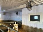 Ventilators ar aizsargrežģi, 0,37 kW, 230 V1, 50 Hz - Image 5