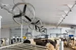 Boreal Flow 55" recirkulācijas ventilators - Image 2