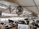 Ventilators ar aizsargrežģi, 0,37 kW, 230 V1, 50 Hz - Image 4