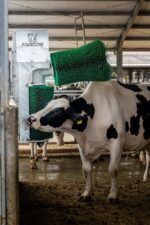 Automātiskā dubultā liellopu masāžas birste AgriCow - Image 2