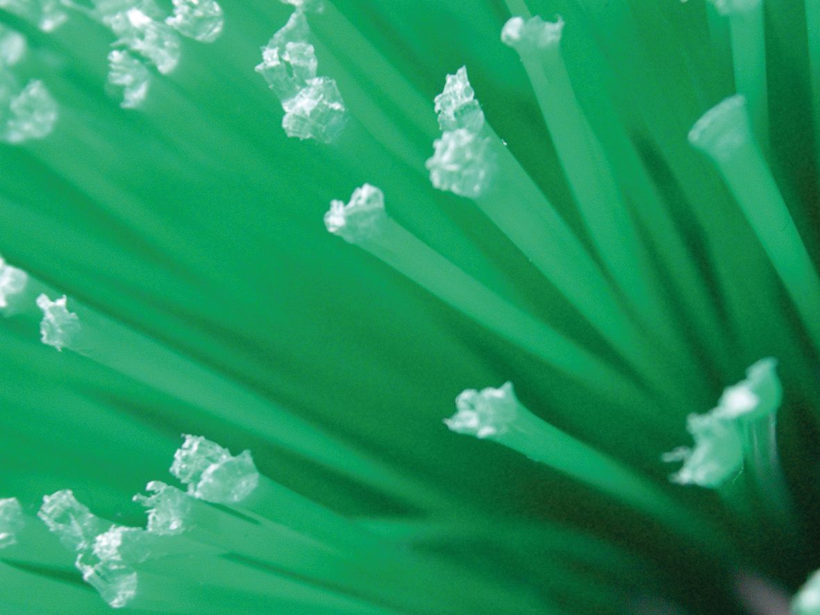 AGRICOW ECO-BRUSH izturīgie polipropilēna sari
